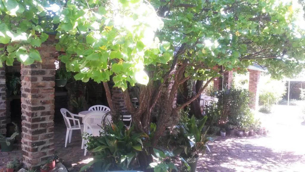 Onze Rust Guest House And Caravanpark Colesberg Exterior photo